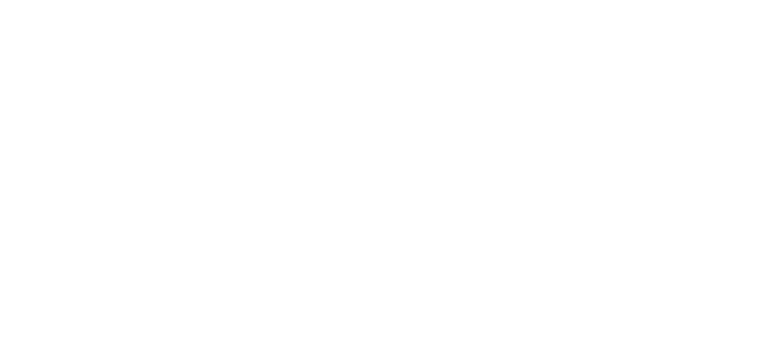 NPC GLITCH
